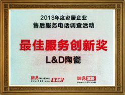 2013年最佳服務(wù)創(chuàng)新獎(jiǎng)