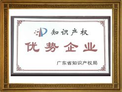 知識產(chǎn)權(quán)優(yōu)勢企業(yè)